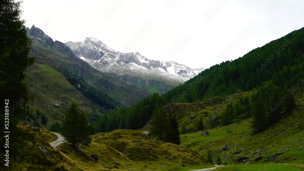 Alpi Alpi