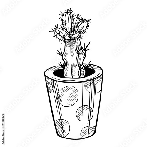 Cactus in flowerpots. Outline hand drawn sketch