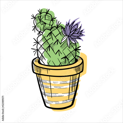 Cactus in flowerpots colorful flat illustration isolated o white