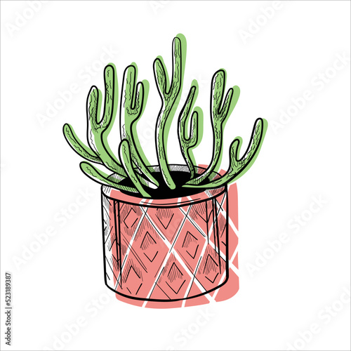 Cactus in flowerpots colorful flat illustration isolated o white