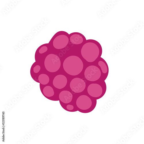 Raspberry on white background vector illustration