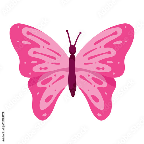 pink butterfly flying © Jemastock