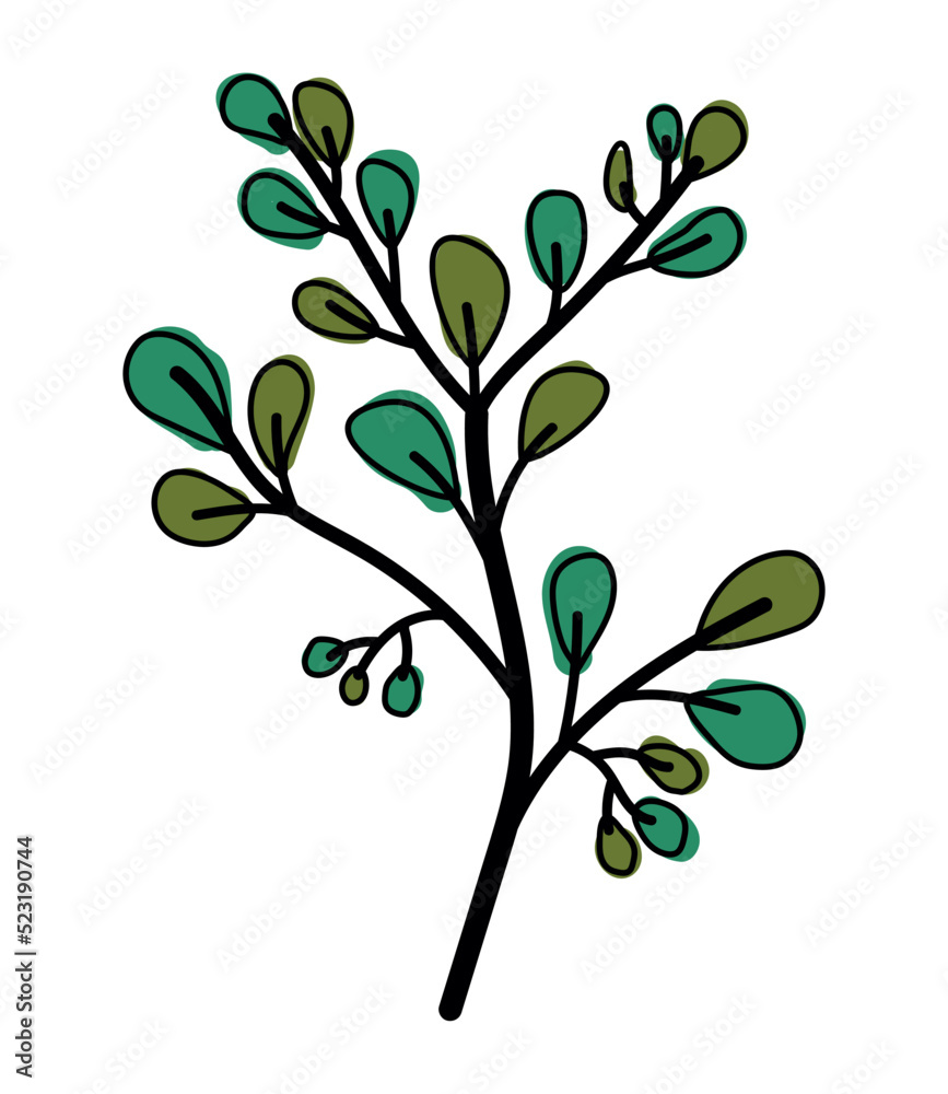 leafs plant foliage nature