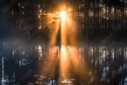 Beuatiful morning sunlight with fog and amazing sun beams at forest in Finland © Jani Riekkinen