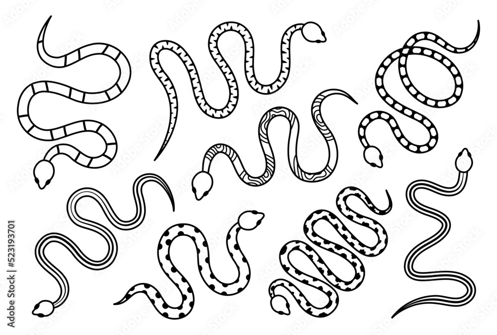 Black snakes silhouettes. Tropical toxic reptiles illustration. Dark