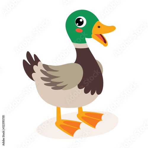 Cartoon Illustration Of A Duck