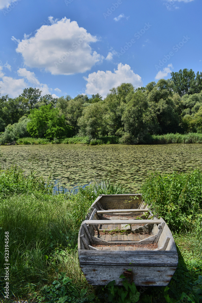 Old wooden boat on a river bank on a sunny summer day