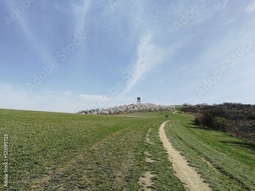 lookout tower Mandlonove sady Hustopece Czechia Mandloňová rozhledna a sady v Hustopečích,Czech republic,Europe,aerial panorama landscape view photo