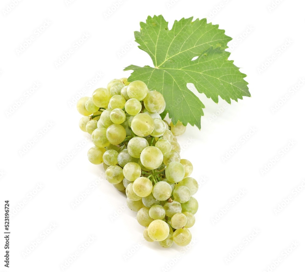 custom made wallpaper toronto digitalChardonnay grape with a vine leaf on white background.