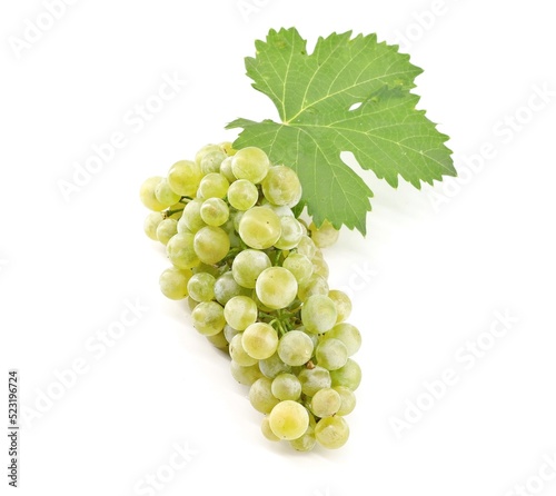 Chardonnay grape with a vine leaf on white background. photo
