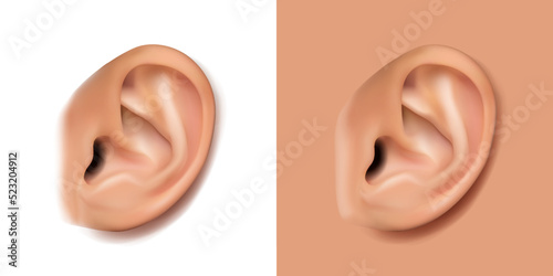 3d realistic vector icon. Human body part, human anatomy, ear on white background.