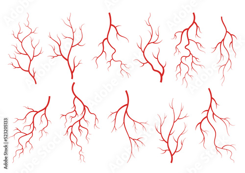 Collection of human veins. Red silhouette vessels, arteries or capillaries on white background. Concept anatomy element for medical science. Vector isolated symbol of blood system