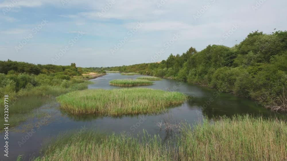 Open Lake Overfly Surrounded By Trees and Wildlife Open Lake Overfly Surrounded By Trees and Wildlife