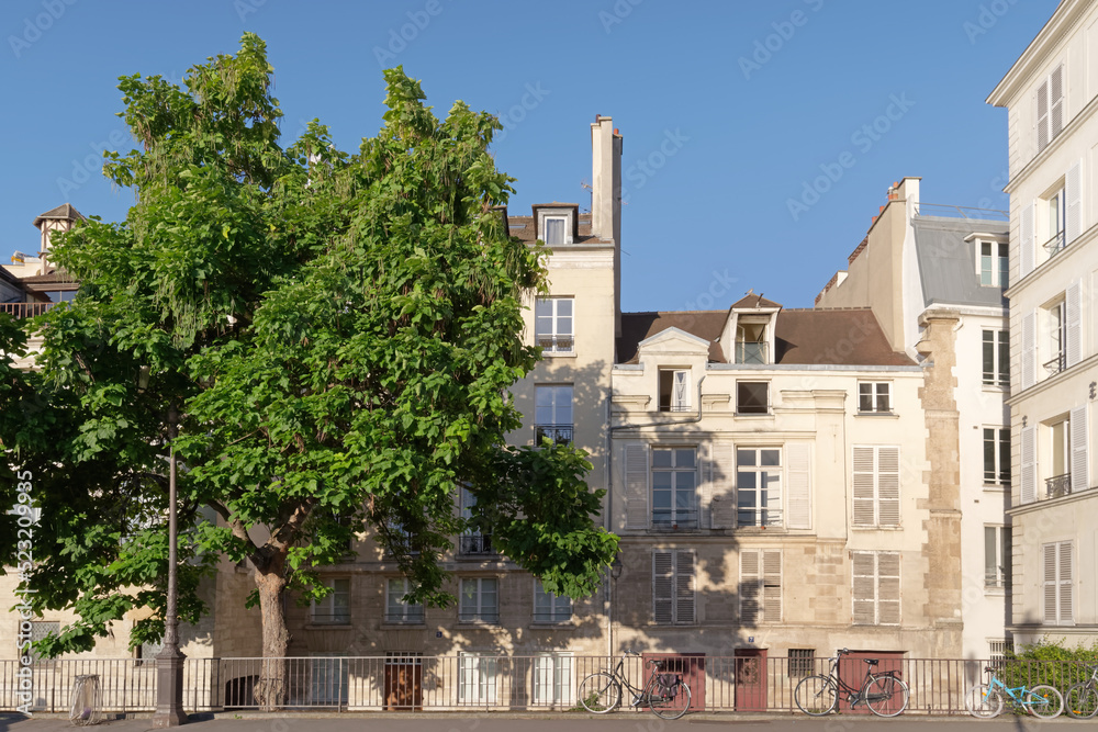 Fototapeta premium Facades and old architecture of the Ile de la cité in Paris