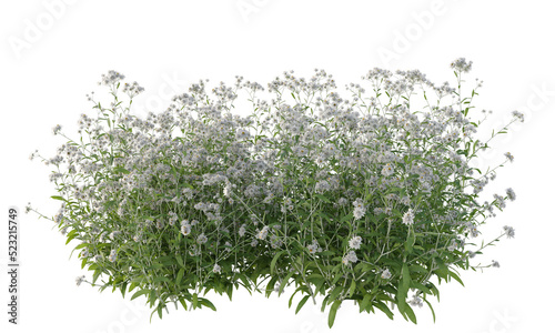 Various types of flowers plants bushes shrub and and small plants isolated on white background	 photo