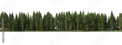 Panel kuchenny z motywem Coniferous forest on a transparent background