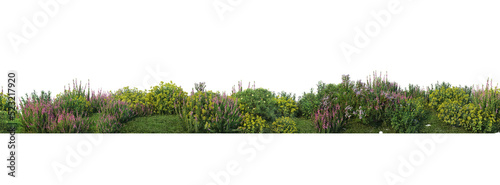 Foto Shrubs and flower on a transparent background