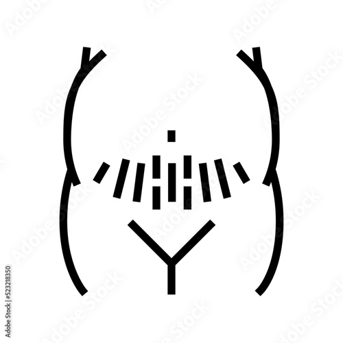 pregnancy stretch marks line icon vector. pregnancy stretch marks sign. isolated contour symbol black illustration