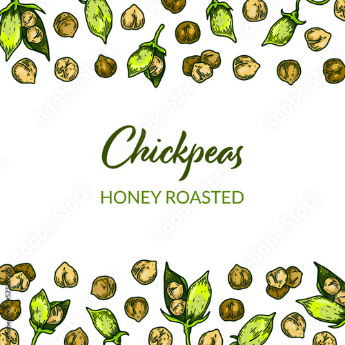 Colorful chickpeas design. Hand drawn illustration in colored sketch style. Botany template for packaging, banner, poster