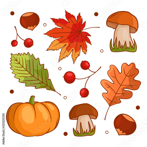 Autumn vegetable composition with pumpkin, mushrooms, leaves, berries, chestnuts. Autumn still life with the autumn harvest season. Vector illustration isolated on a white background