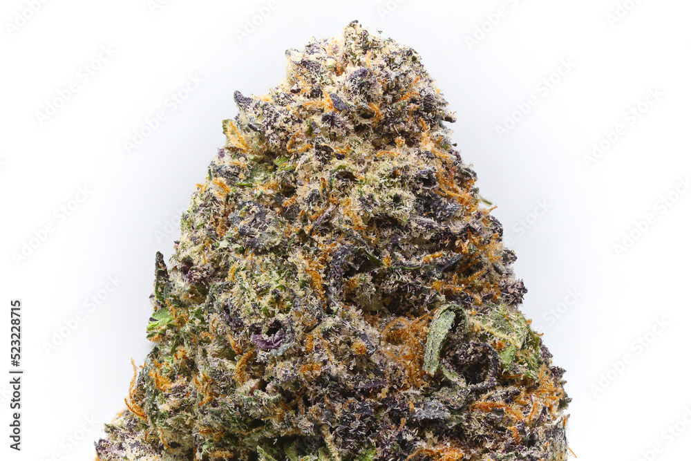 Cannabis flower close up Cannabis flower close up