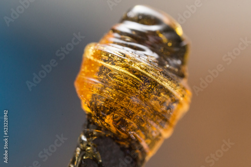 Cannabis concentrates and extract close up macro