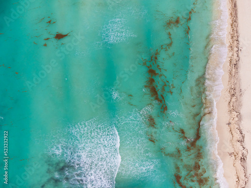 Top view of a turquoise water surface polluted with seaweed. Ecosystem damage, climate change, global warming, social and environmental problems. There are no people in the photo.