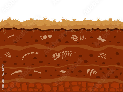 Dinosaur fossil in soil underground. Dirt animal bones and skeletons in ground, extinct archeology in earth, land or field. Antique skulls. Paleontological vector cartoon layers background