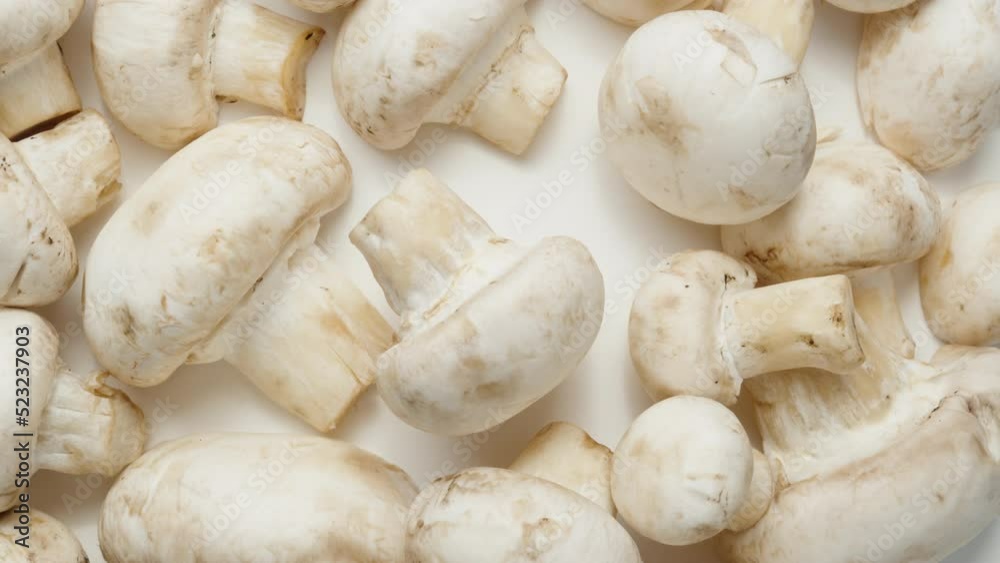 mushroom champignon rotates on a white background close-up, a scattering of mushrooms top view. Close up mushroom champignon rotates on a white background close-up, a scattering of mushrooms top view. Close up