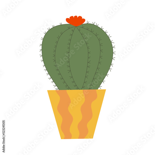 Golden barrel cactus plant with flower in pot, flat vector