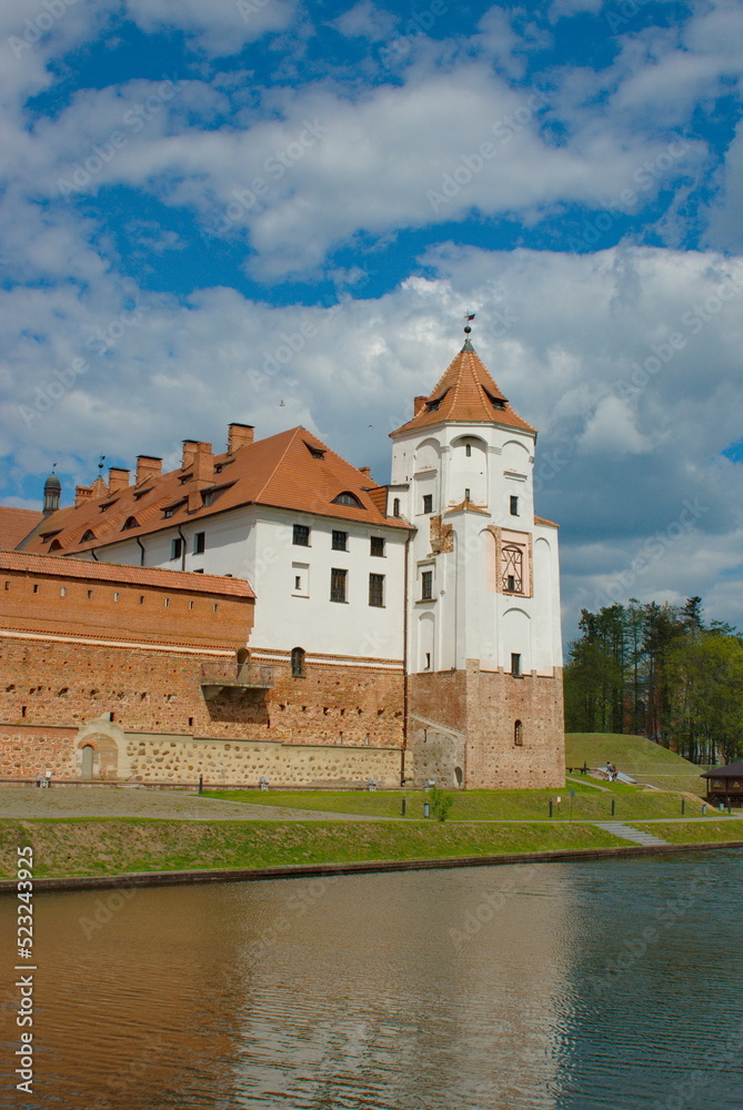 Mir catle in Belarus Mir catle in Belarus