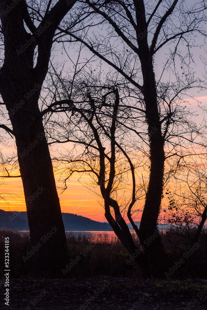 Shore of Trasimeno lake Umbria, Italy with trees silhouettes against a beautiful dusk sky