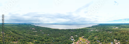 Gulf of finland with sandy beach and pine forest. Aerial view photo