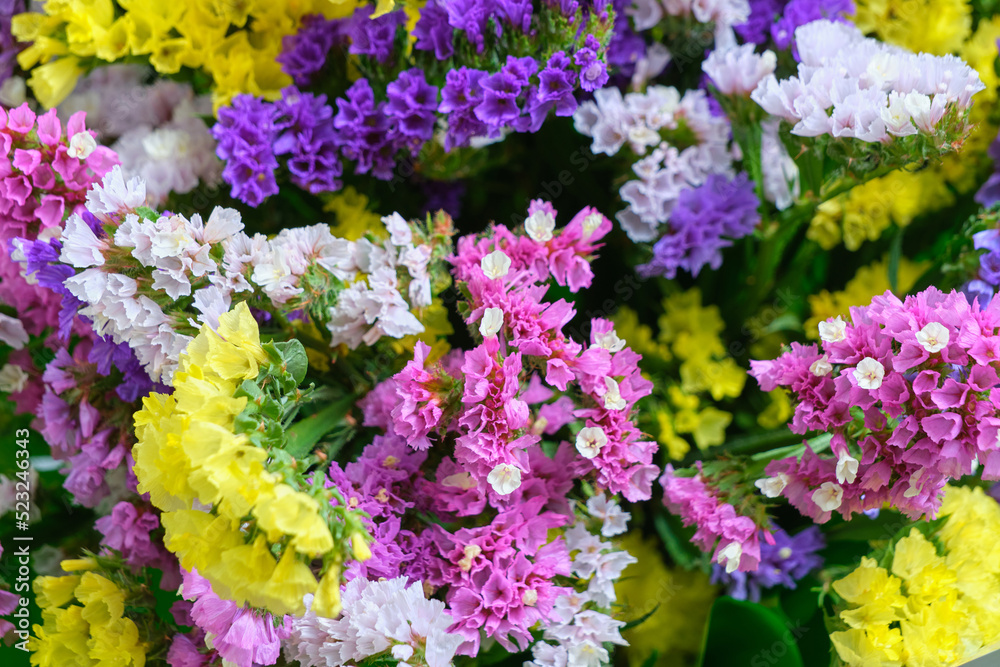 Obraz premium Abstract, summer background with bright multicolored flowers.