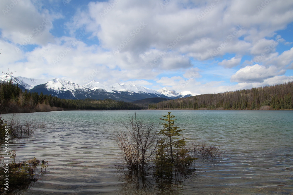 High Waters Of Patricia Lake, Jasper National Park, Alberta High Waters Of Patricia Lake, Jasper National Park, Alberta