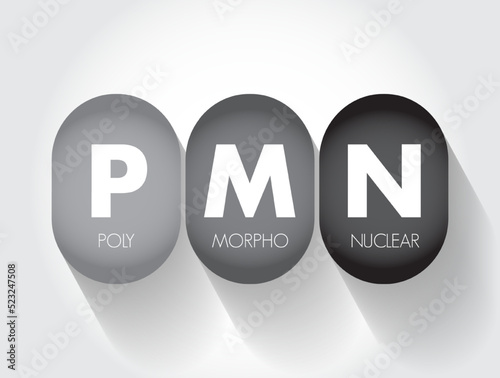 PMN PolyMorphoNuclear - having a nucleus with several lobes and a cytoplasm that contains granules, as in an eosinophil or basophil, acronym text concept background