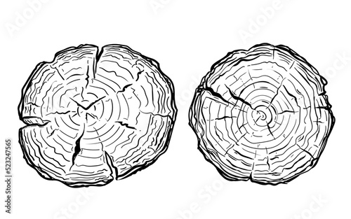 A set of illustrations of a sawn tree trunk, hand drawn in a doodle style. Line drawing of a round stump. Isolated vector illustration.