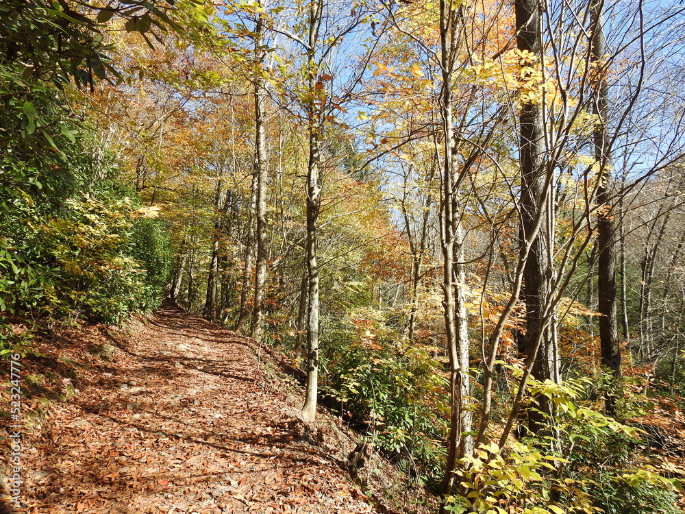 Visitors enjoy hiking the trails in the Pocono Mountain wilderness during the autumn season to view the spectacular fall foliage, Hickory Run State Park, Carbon County, Pennsylvania. Visitors enjoy hiking the trails in the Pocono Mountain wilderness during the autumn season to view the spectacular fall foliage, Hickory Run State Park, Carbon County, Pennsylvania.