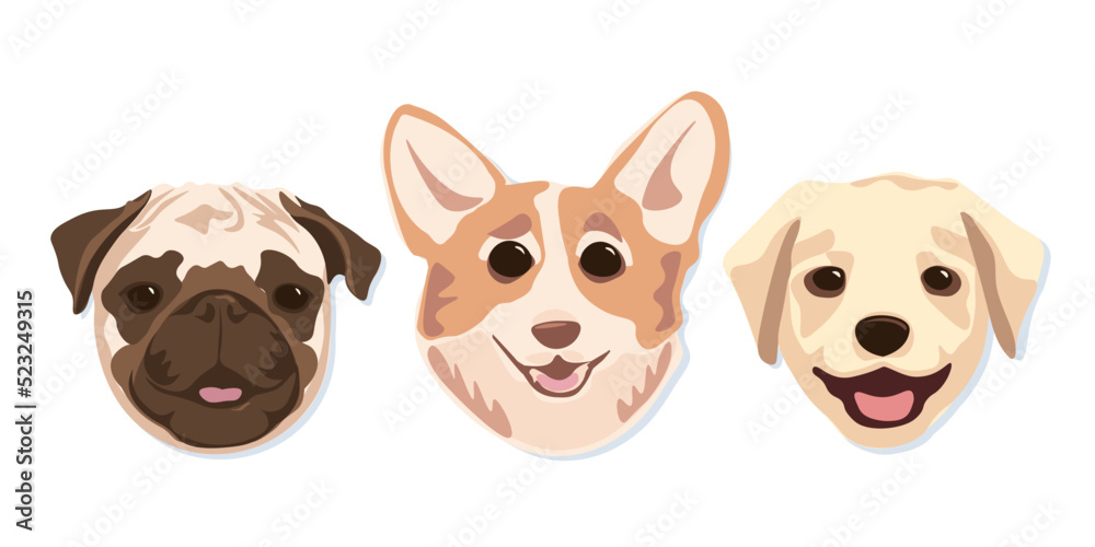 Muzzles of purebred dogs are hand drawn in a flat style. Colorful vector illustration.