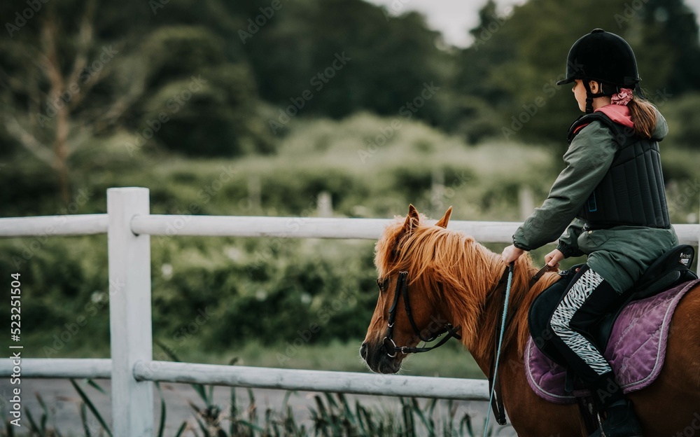 Dziewczynka jeździ konno w szkółce jeździeckiej. Obóz konny, ćwiczenia w siodle na padoku - obrazy, fototapety, plakaty 