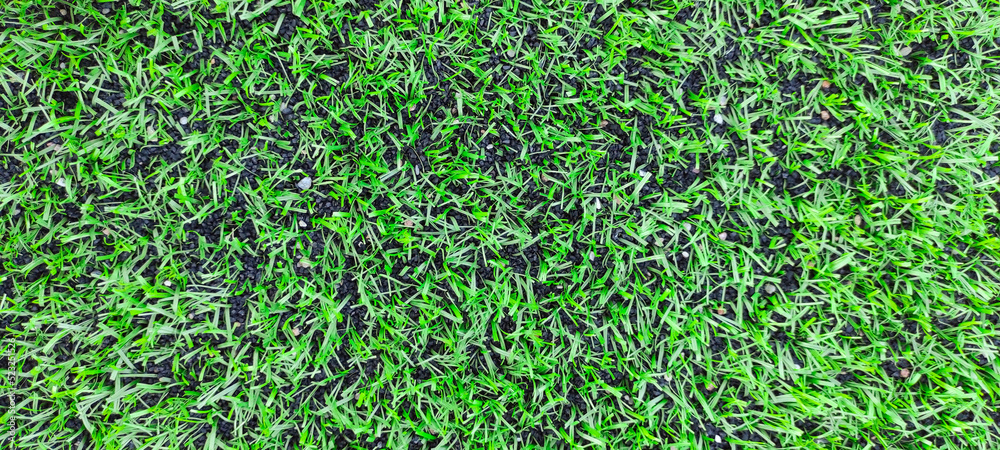 Herb garden concept on green grass texture background is used to create soccer field on green background, grass golf, green lawn with textured background. Herb garden concept on green grass texture background is used to create soccer field on green background, grass golf, green lawn with textured background.