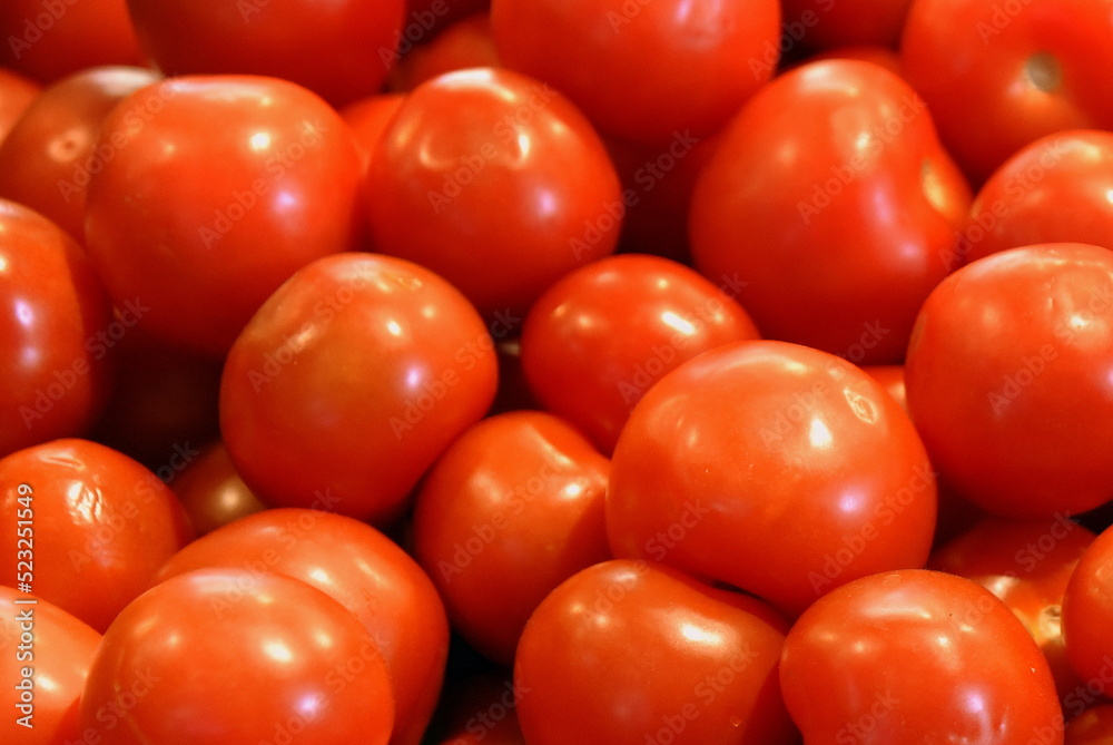 Reife, rot leuchtende Tomaten Reife, rot leuchtende Tomaten