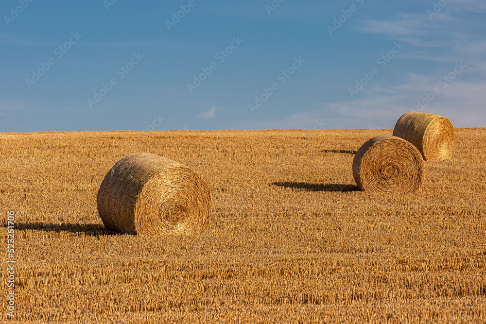 A rural South Downs summer landscape, with hay bales in a newly harvested field