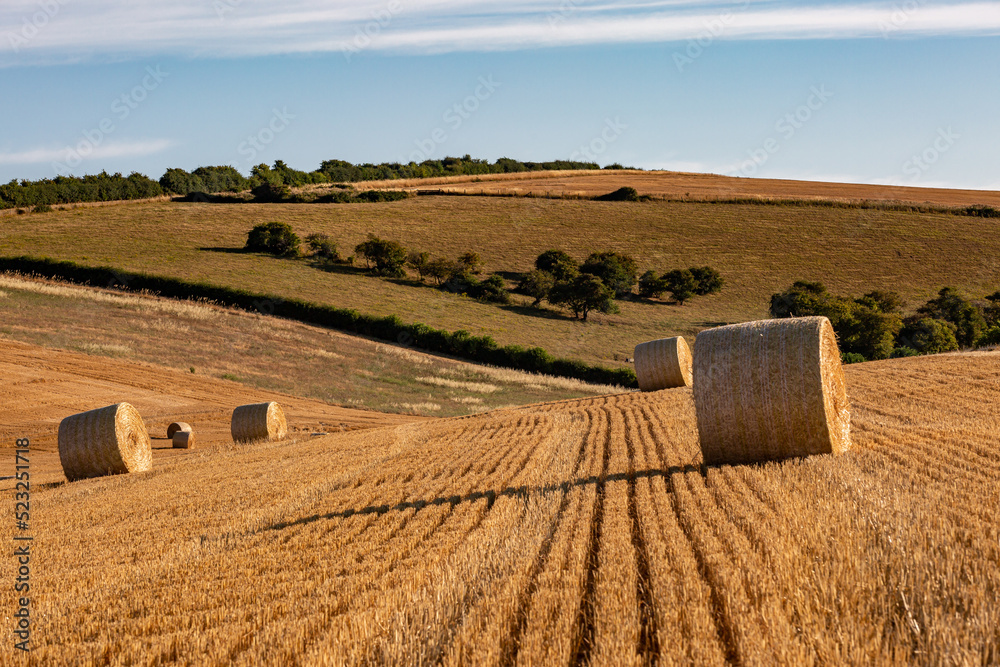 Hay bales in a field in Sussex on a sunny summer's evening