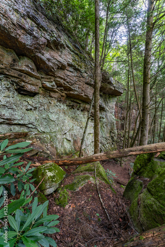Lilly Bluff Rock Climbing Walls - Cumberland State Park