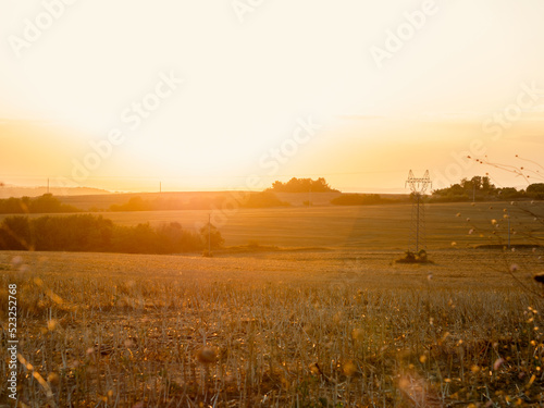 Plowed agricultural field at sunshine, close-up. Sunlight. Autumn landscape. Meadow after harvest © glebzter