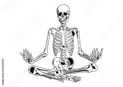 Vector skeleton in yoga position. Three separate parts (skull, torso, legs).  photo