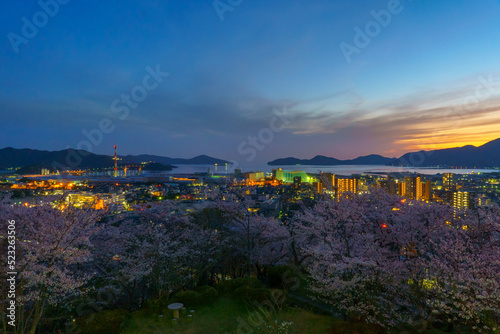 夕方の満開の桜と下松公園からの眺め