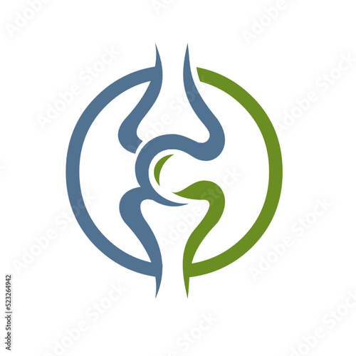 illustration of joint, knee. chiropractic logo
