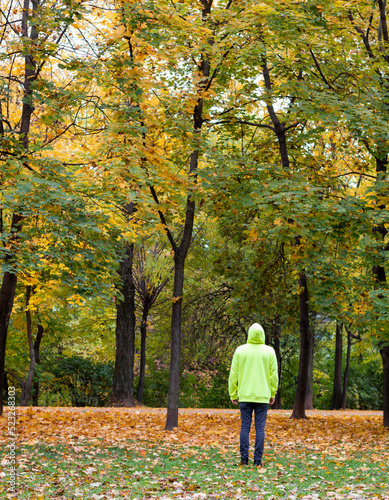 Auntunm. Man looking up in a forest during auntunm. Picture of a man using neon yellow hoodie observing the nature © Otávio Pires